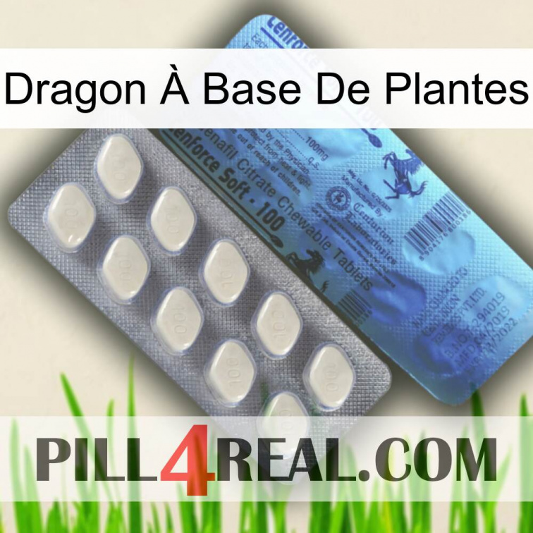 Dragon À Base De Plantes 34